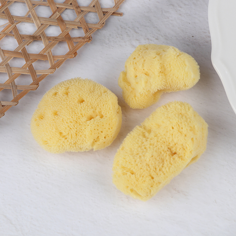 Eco Sponge - أداة تنظيف إنتاج الملمس الخاص، لوحة
