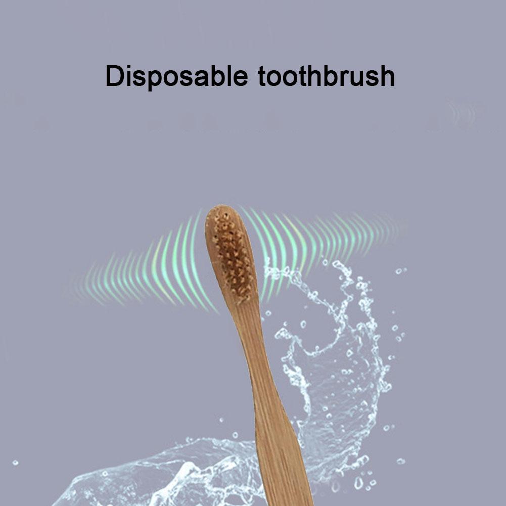 فرشاة أسنان للاستخدام مرة واحد - مراجعة Bamboo Toothbrush وسعره